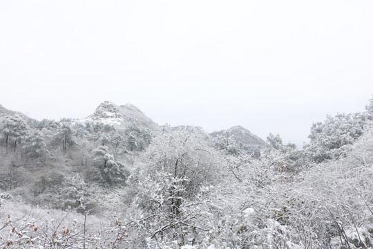 冬季