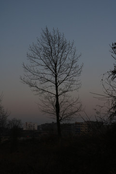 黄昏