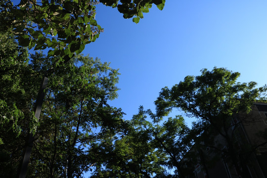 北京798