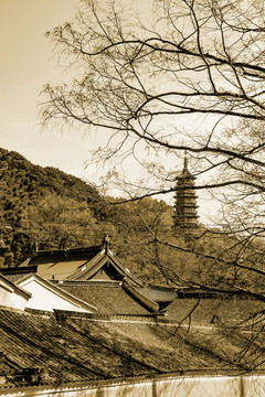 天童风景区 天童禅寺 五大名刹