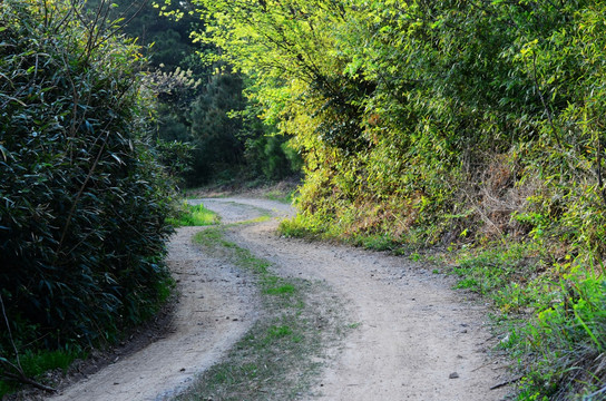 弯曲的山路