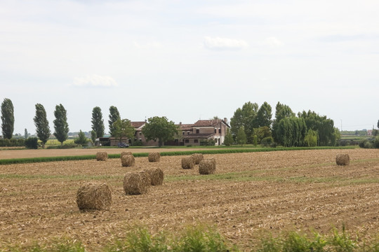 法国农场 乡村 草卷