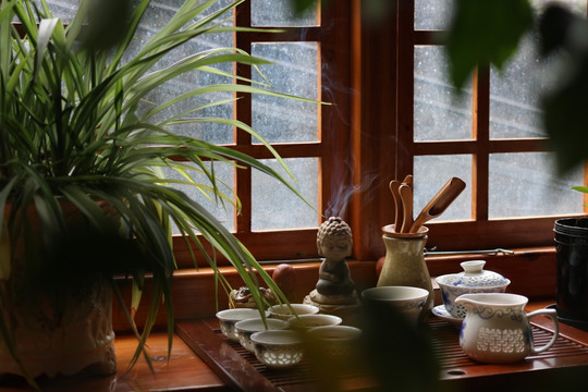 茶花文化