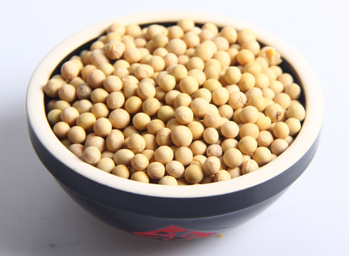 大豆