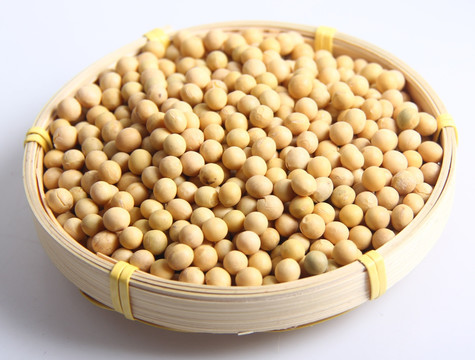 大豆