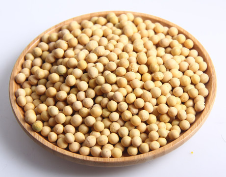 大豆