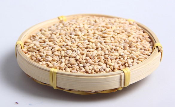 麦仁