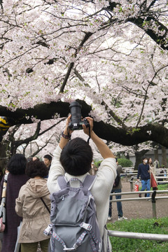 日本旅游 摄影