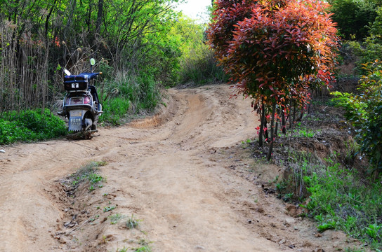 山林山路