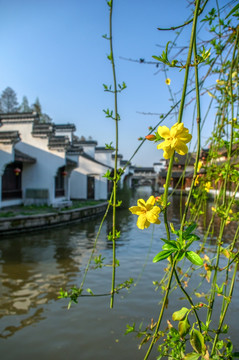 江南水乡古镇河道