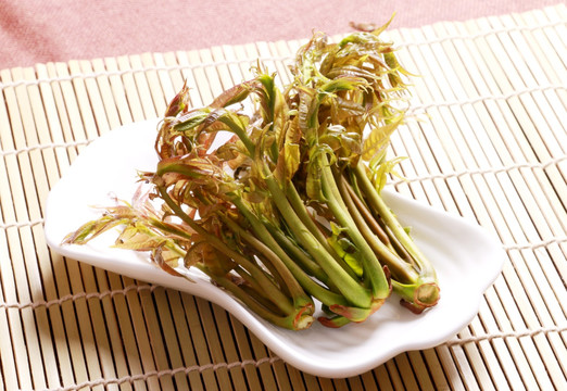 香椿芽