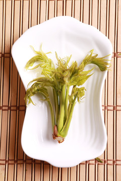 香椿芽