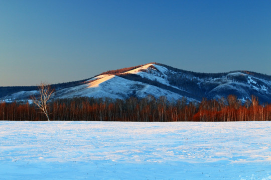 雪野山脉树林景观