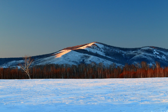 雪原山林