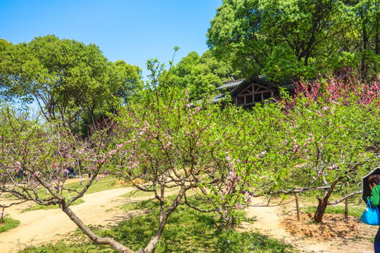 无锡三国水浒影视基地