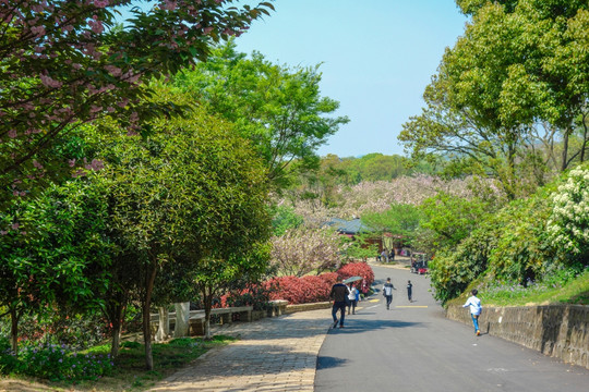 无锡三国水浒影视基地