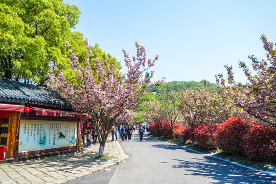 无锡三国水浒影视基地