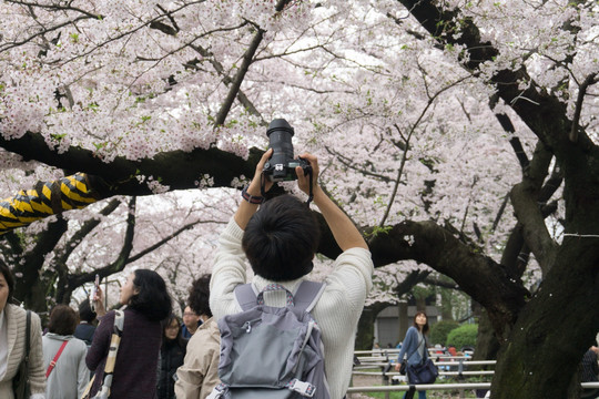 日本旅游 摄影