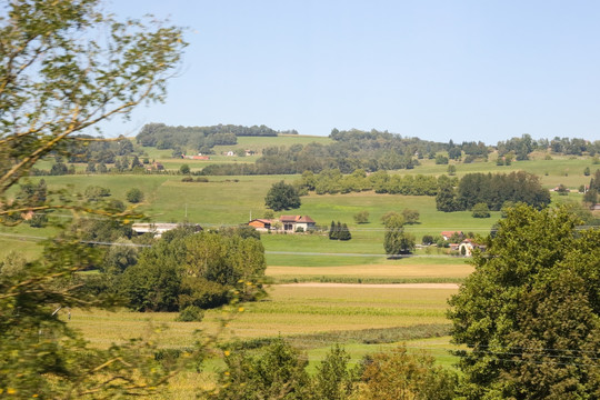 法国农场 农作物 农场房子