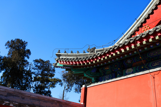 北京 建筑 圆明园 庙宇 庙