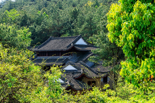 树林小屋