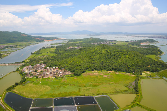 丰头岛 阳西 岛屿