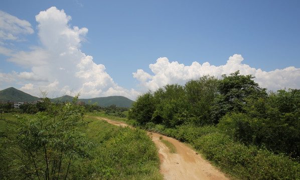 路 小路 乡间小道