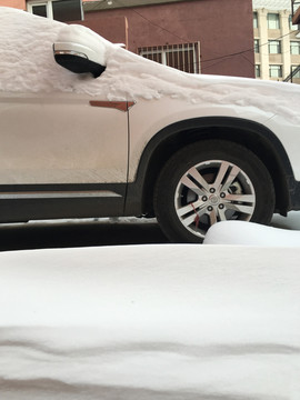 被雪覆盖的汽车