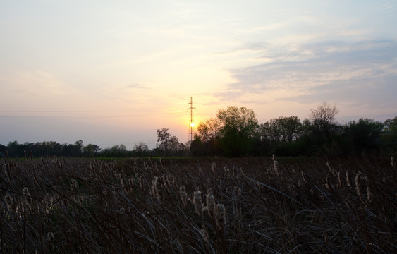 沼泽湿地 夕阳 晚霞