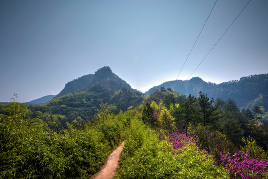 浙江兰溪转轮岩景区山路风光