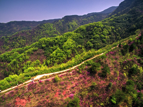 浙江兰溪转轮岩山路紫荆花航拍