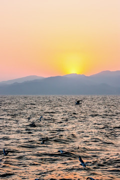 抚仙湖日出