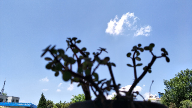 蓝天