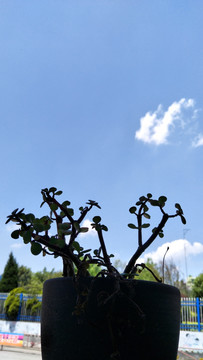 天空