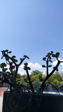 天空
