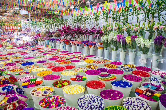 昆明花卉市场