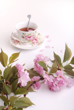 红茶鲜花