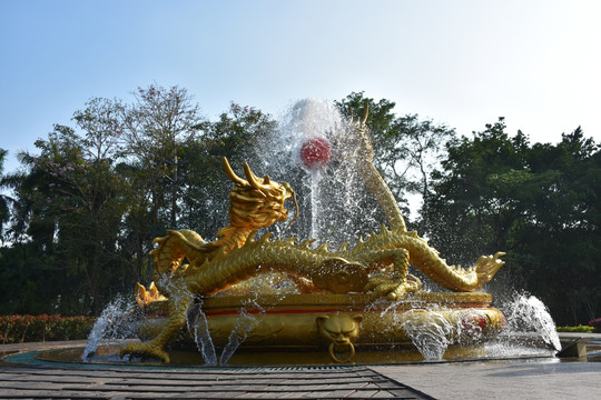 龙  双龙