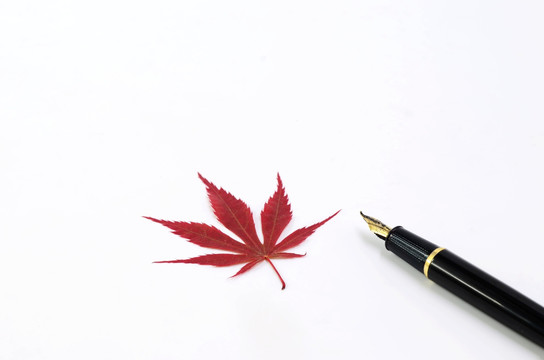 钢笔和红叶