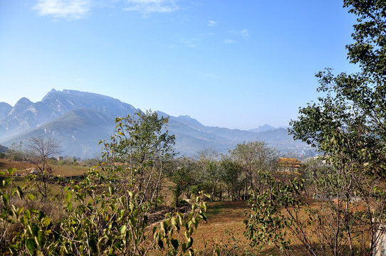 高山