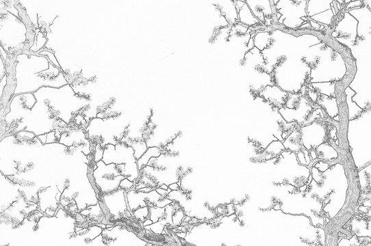 桃树花开素描图