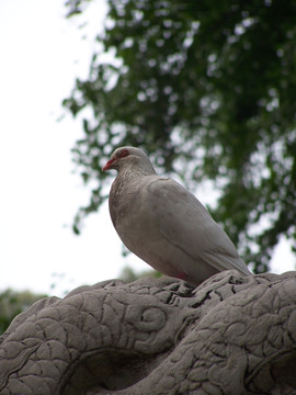 潭柘寺