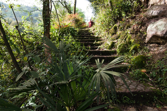 山间小路