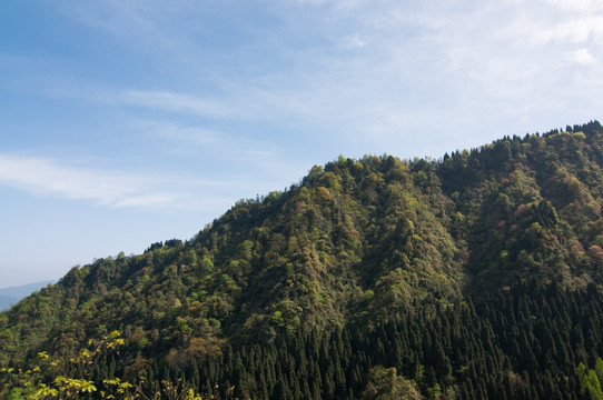 云中花岭度假区