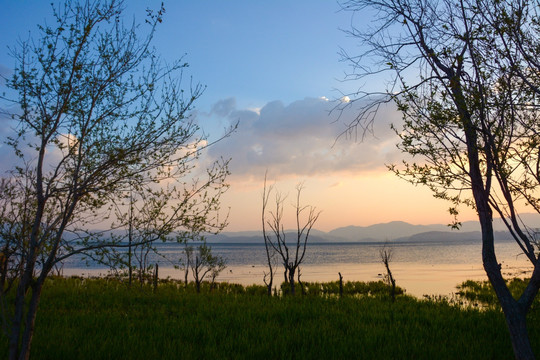 湖光山色 洱海清晨