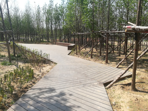 郑州北龙湖湿地公园  生态木