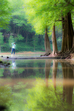 油画春天森林