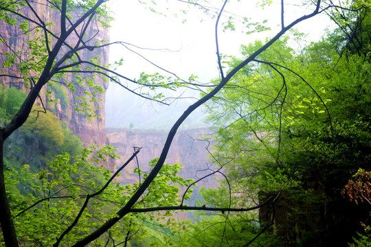 宝泉风景