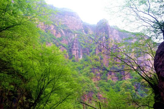 宝泉风景