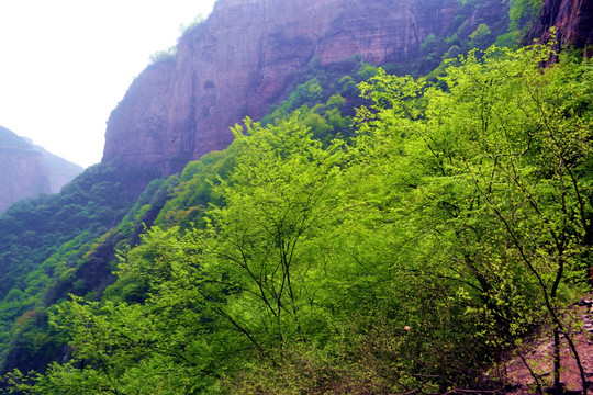 宝泉高山